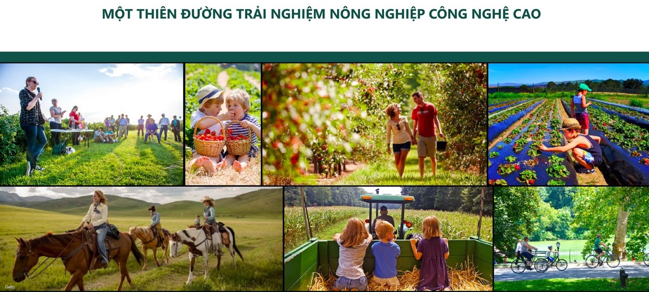 Tiện ích phân khu Indochine Wellness Resort – Sunshine Heritage Resort